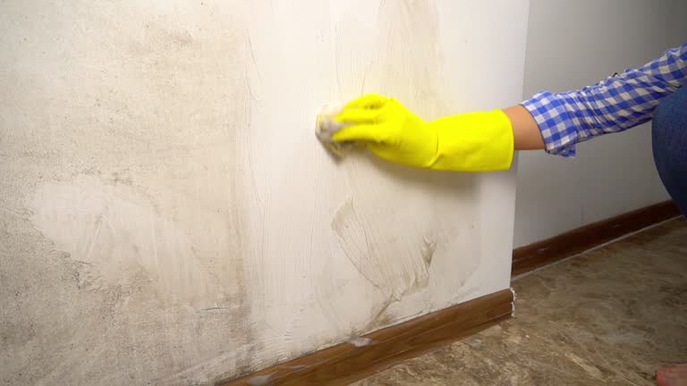 Best Airborne Mold Testing  in Lewisburg, WV