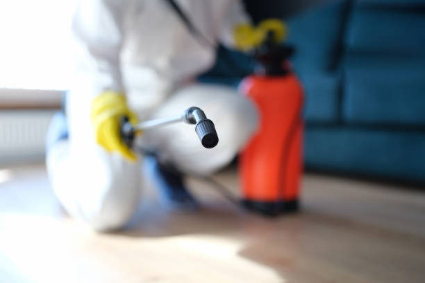 Best Commercial Mold Inspection  in Lewisburg, WV