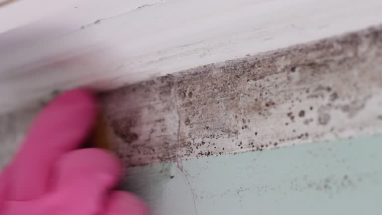 Best Dehumidification Services  in Lewisburg, WV